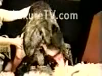 Vintage pet porn with two sluts